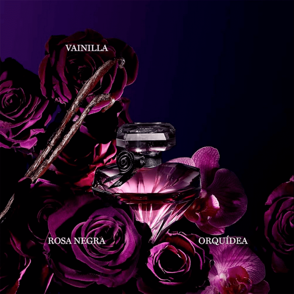 La Nuit Trésor Lancôme: A Paixão da Rosa Negra