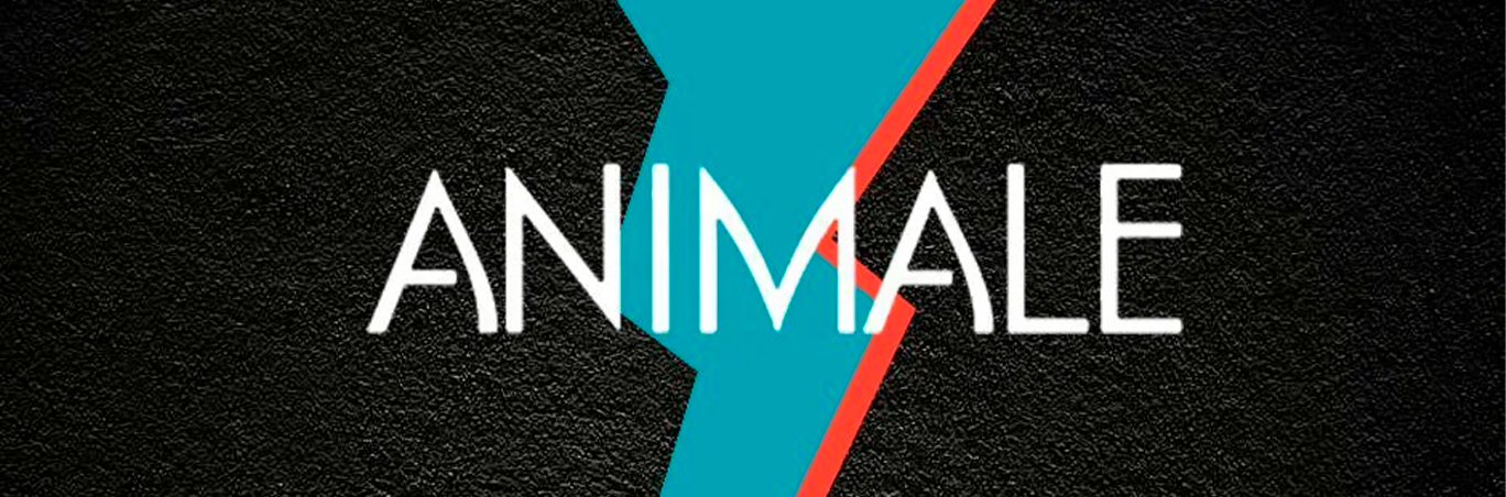 Banner Eyvor Encontre os perfumes da marca Animale na Eyvor!