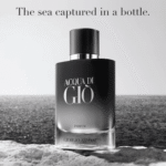 Acqua Di Giò Giorgio Armani Perfume Masculino Parfum