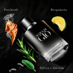 Acqua Di Giò Giorgio Armani Perfume Masculino Parfum