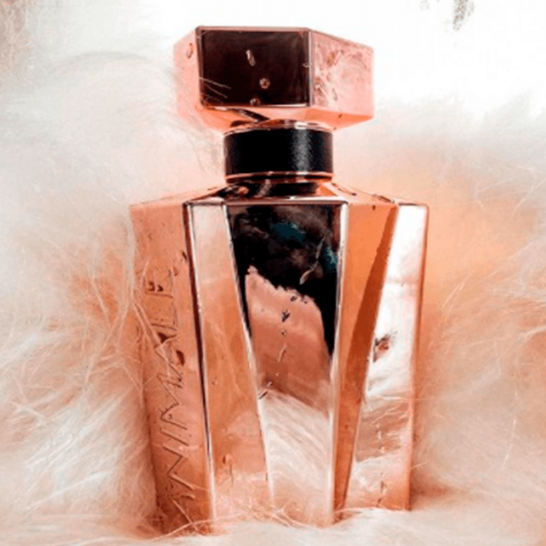 Animale Seduction Perfume Feminino Eau de Toilette