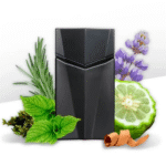 Animale Seduction Perfume Masculino Eau de Toilette
