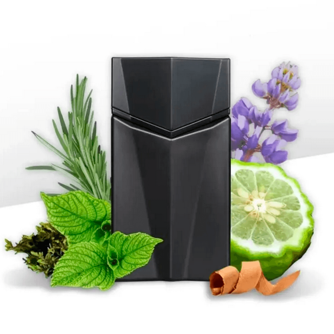 Animale Seduction Perfume Masculino Eau de Toilette